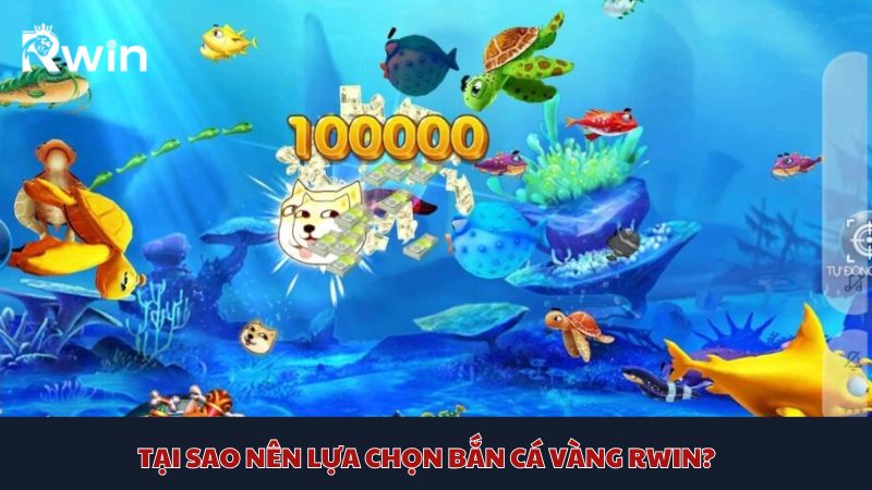 Kết nối bạn bè xuyên lục địa cùng Bắn cá Vàng Bl555 – Trải nghiệm giải trí không giới hạn