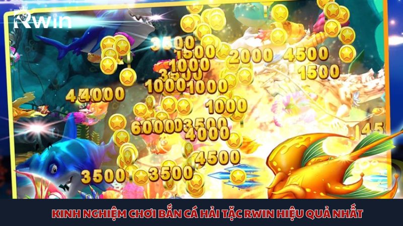 Những kinh nghiệm quý giá khi tham gia bắn cá Hải Tặc Bl555 cho tân binh